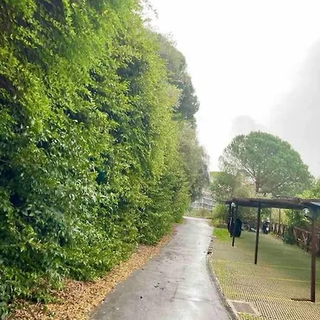 Appartement Incantevole E Silenzioso Ad Un Passo Dal Mare Rapallo